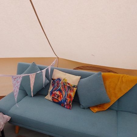 Llandysul Herons Retreat酒店 外观 照片